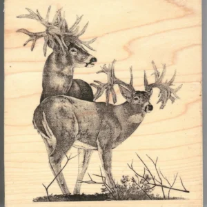 Adams Unique Boutique