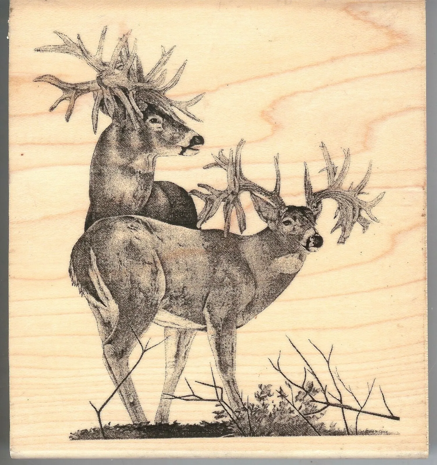 Adams Unique Boutique