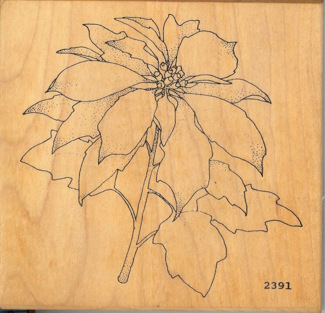 A drawing of a poinsettia flower on wood.