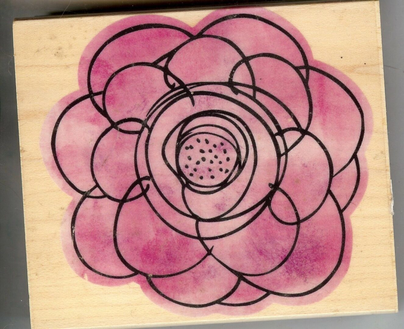 A pink flower with black lines on it