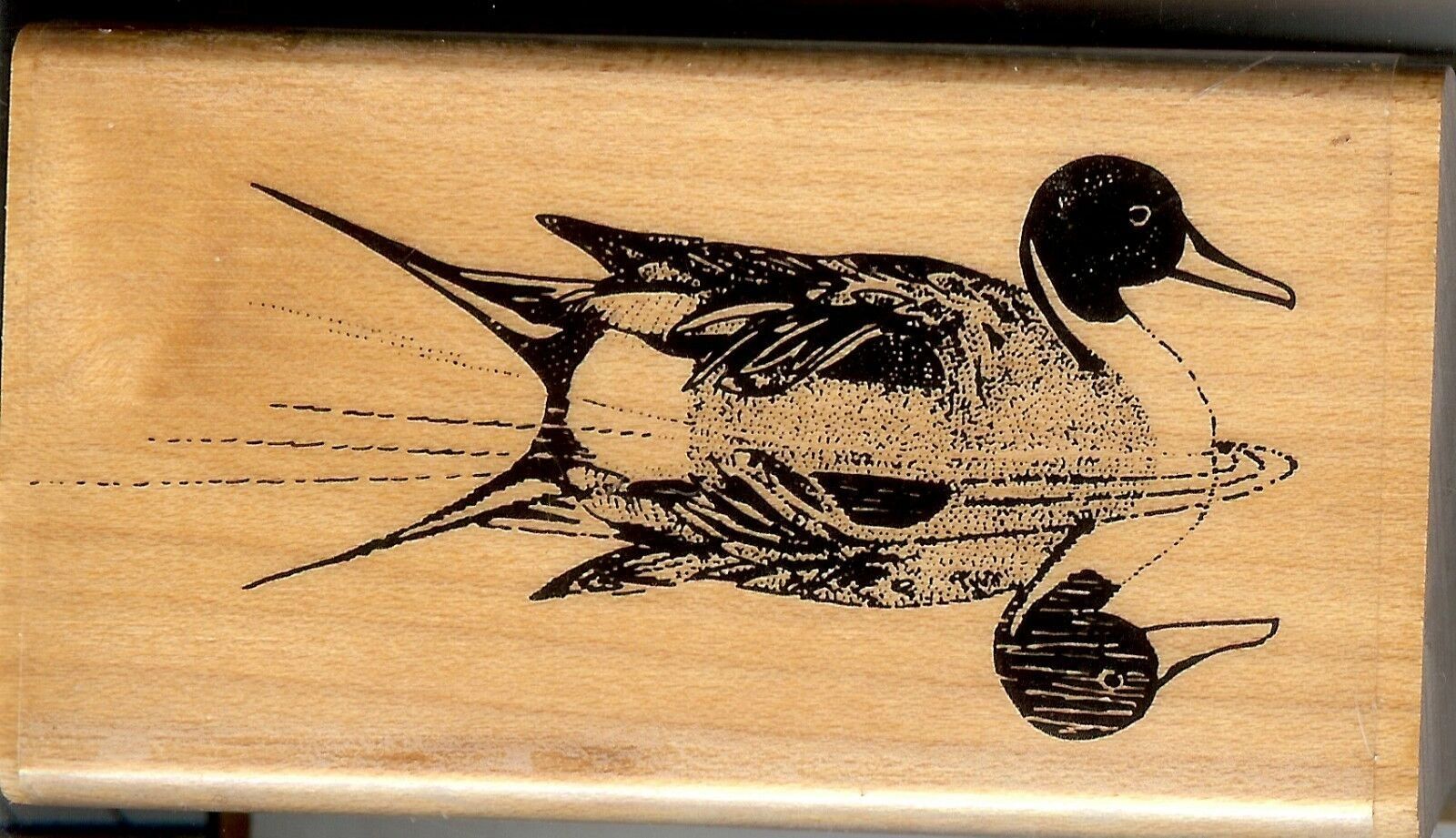 A picture of a bird on the side of a skateboard.